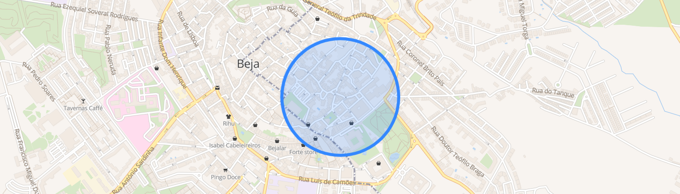 listing-map-picture