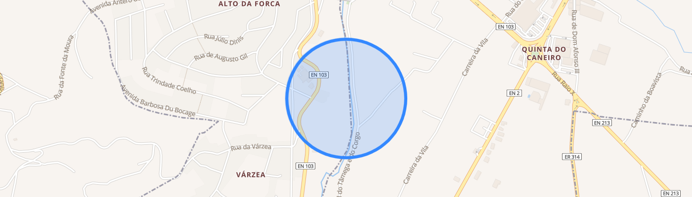 listing-map-picture