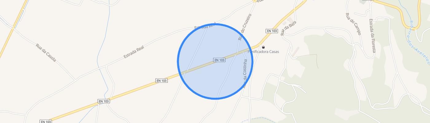 listing-map-picture