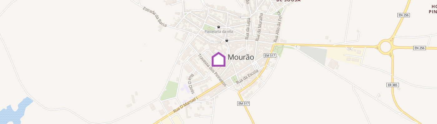 listing-map-picture