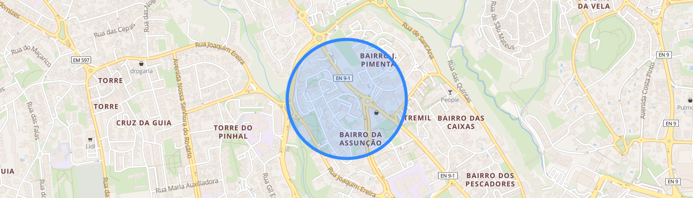listing-map-picture