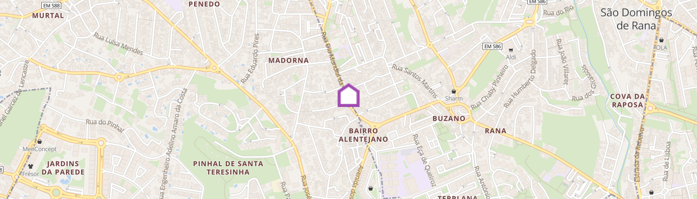 listing-map-picture
