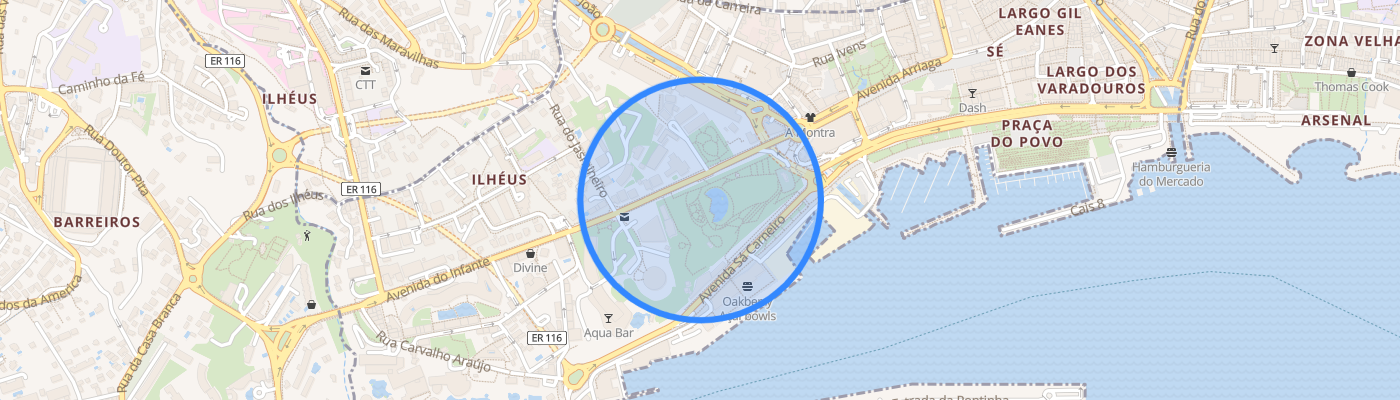 listing-map-picture