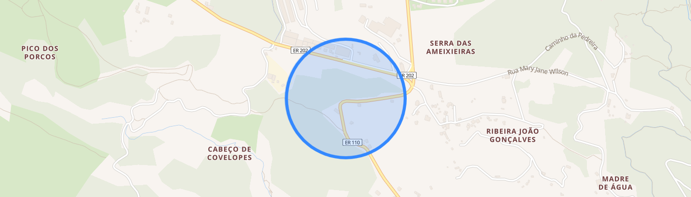 listing-map-picture