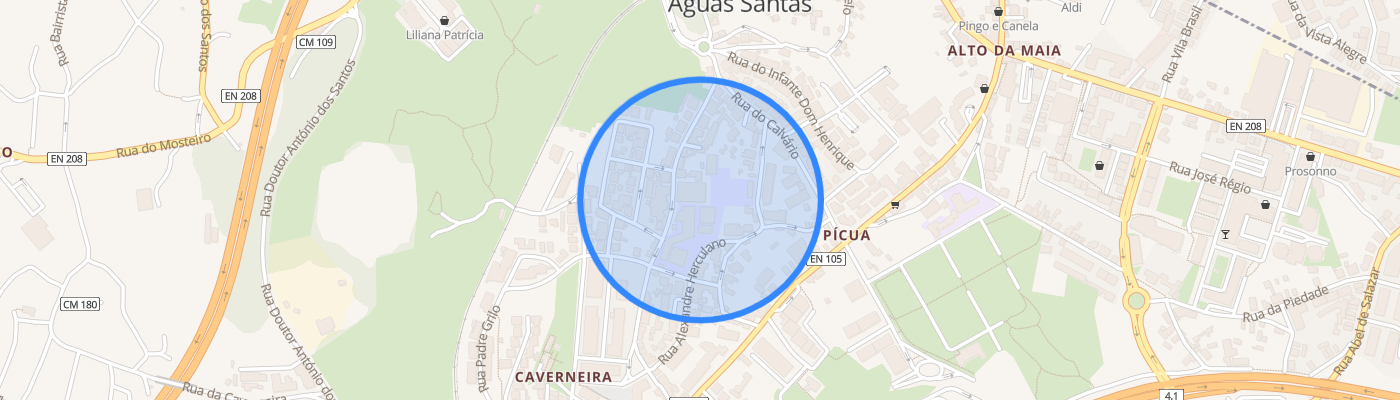 listing-map-picture
