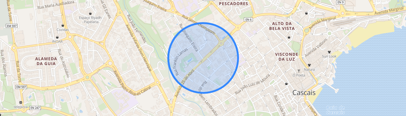 listing-map-picture