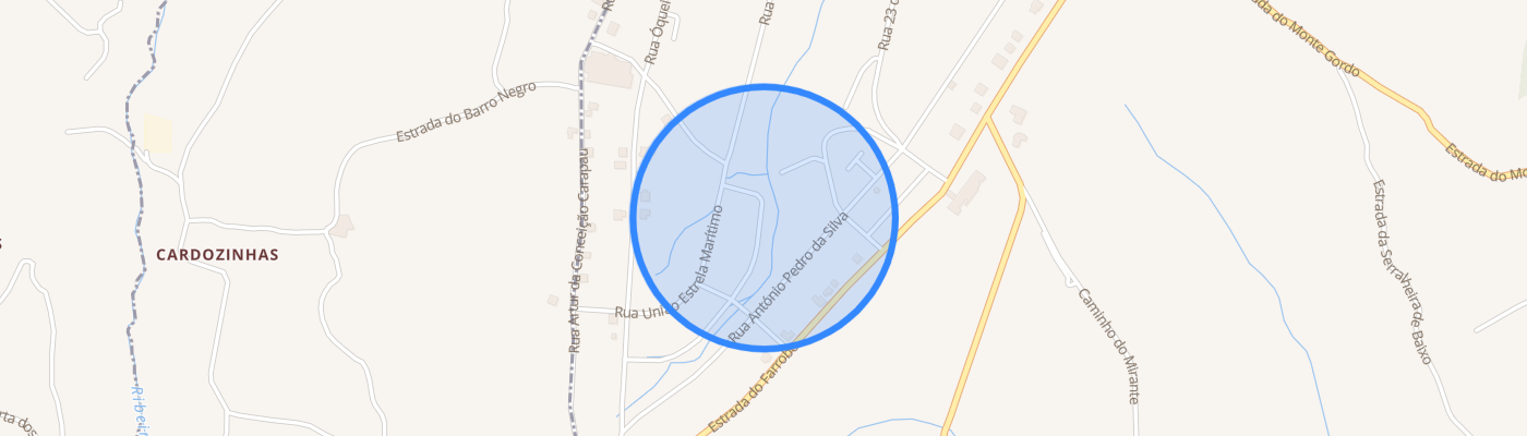 listing-map-picture