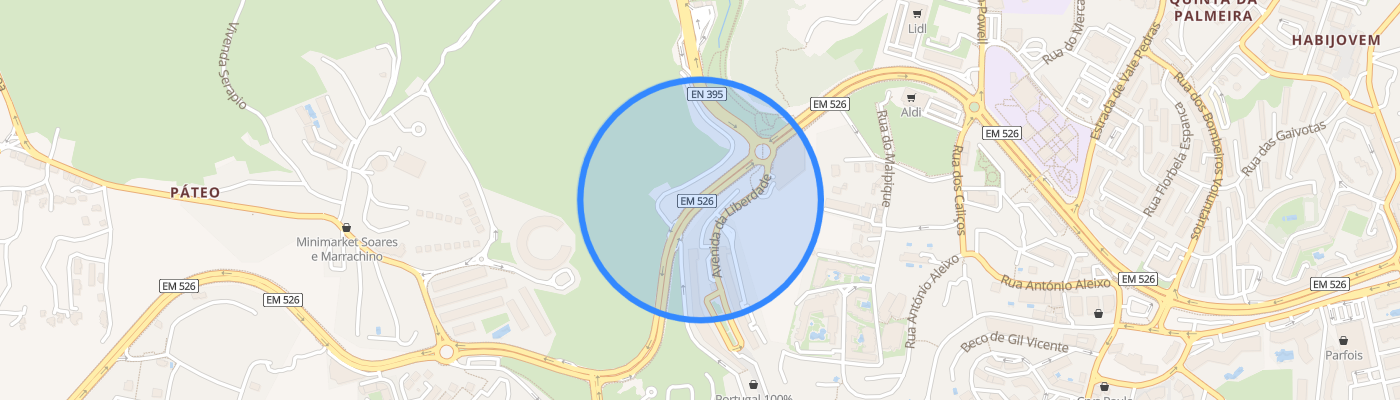listing-map-picture