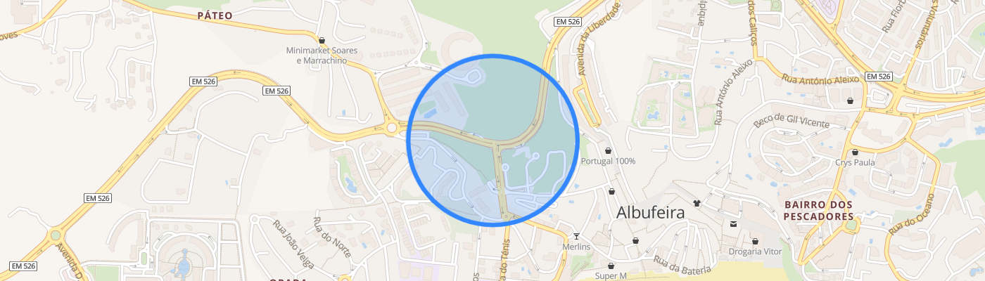 listing-map-picture