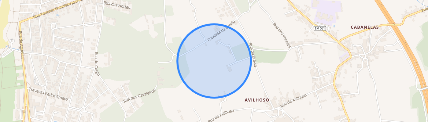 listing-map-picture
