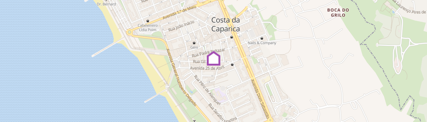 listing-map-picture