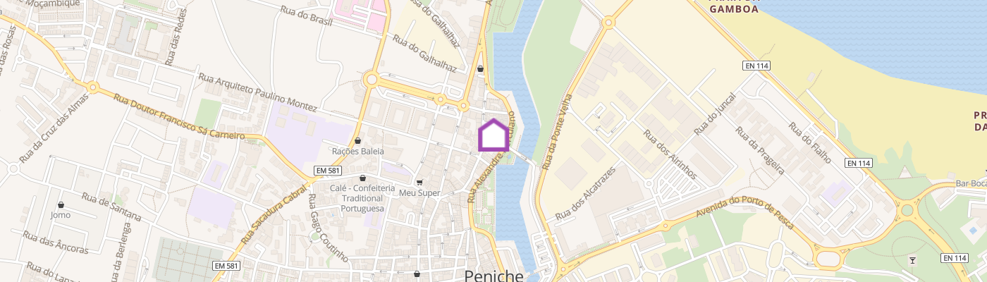 listing-map-picture