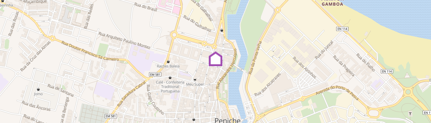 listing-map-picture