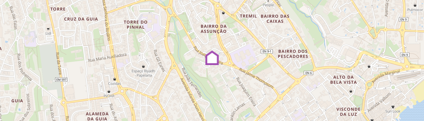 listing-map-picture