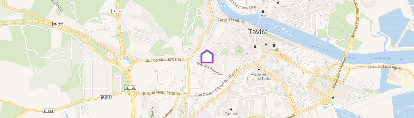 listing-map-picture