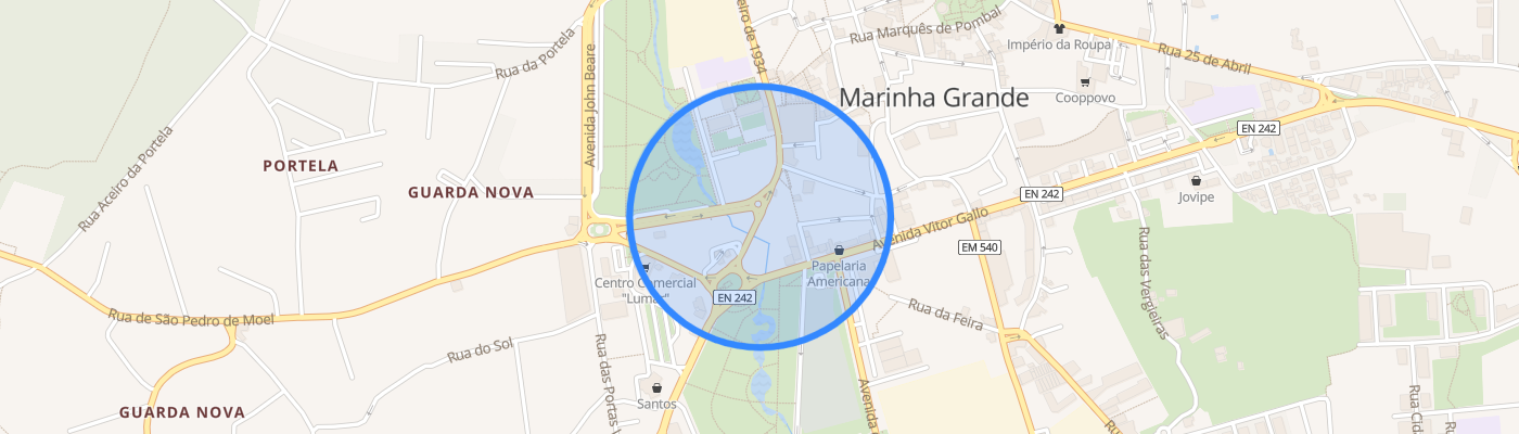 listing-map-picture