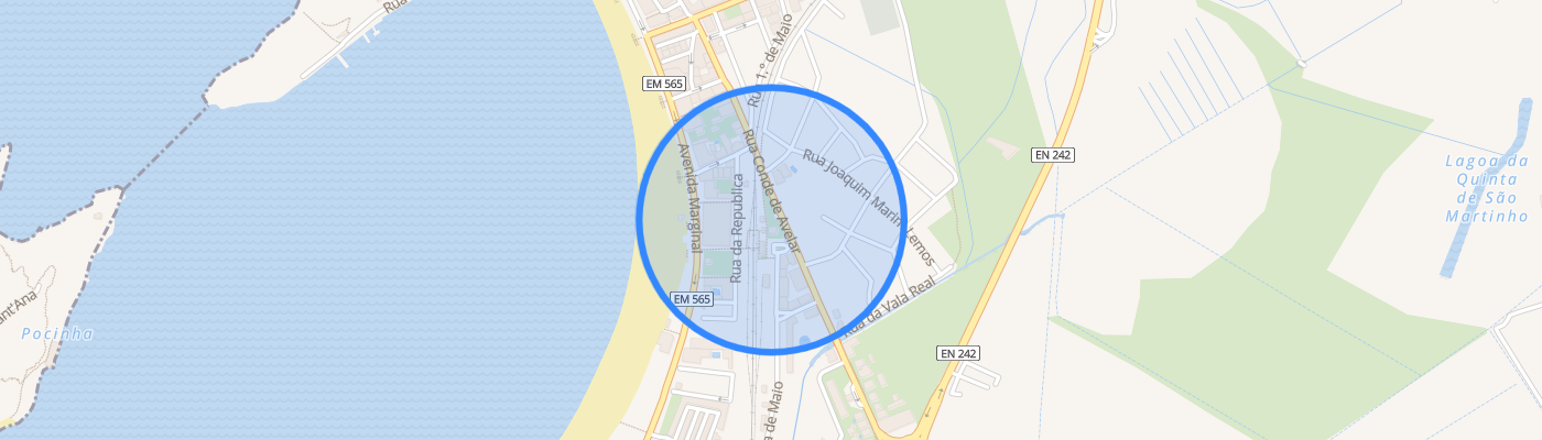listing-map-picture