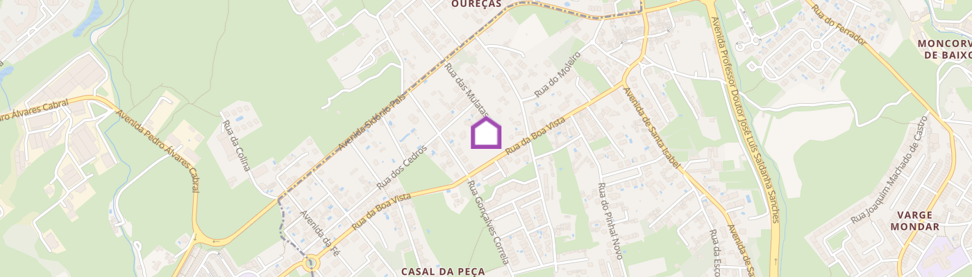 listing-map-picture