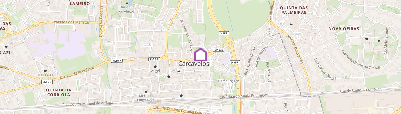 listing-map-picture