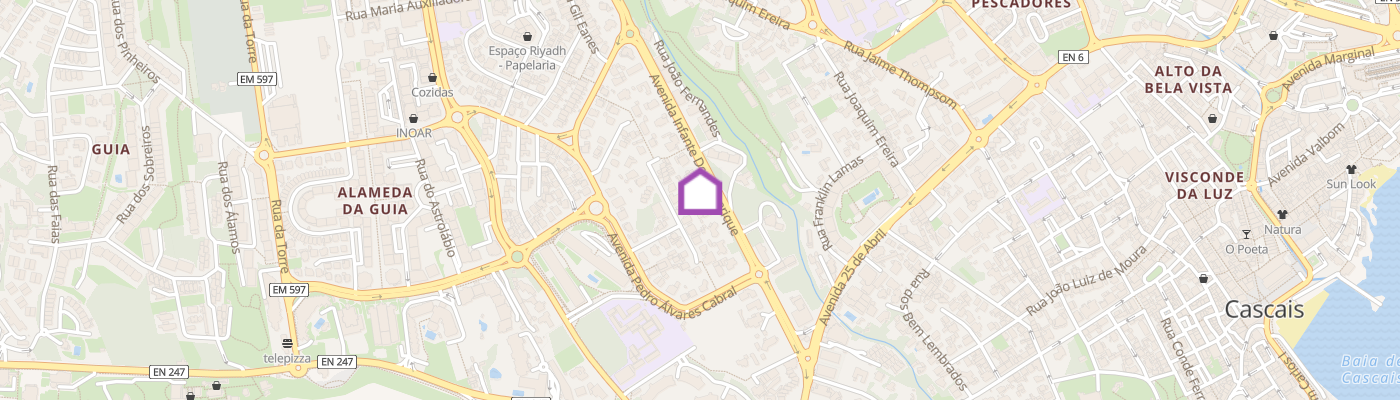 listing-map-picture