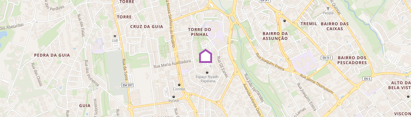 listing-map-picture