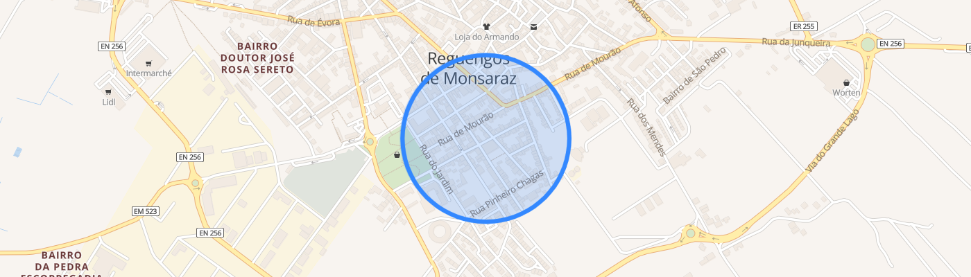 listing-map-picture