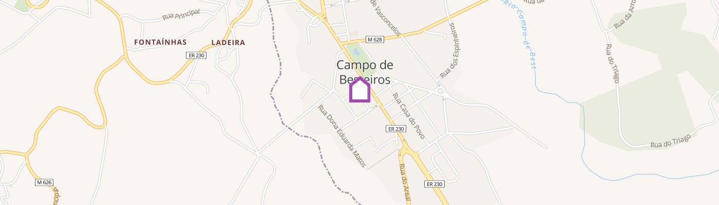 listing-map-picture