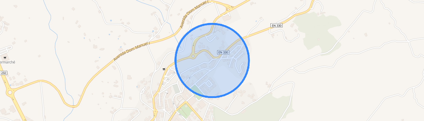 listing-map-picture