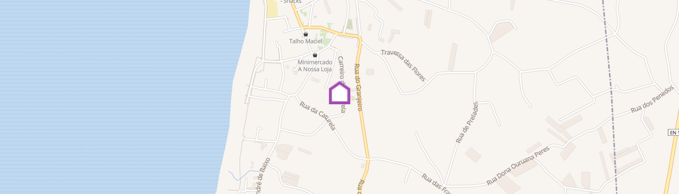 listing-map-picture
