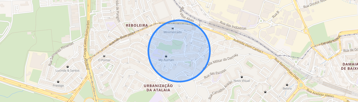 listing-map-picture
