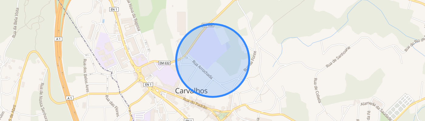 listing-map-picture