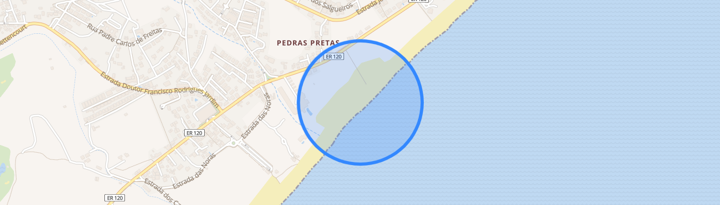 listing-map-picture