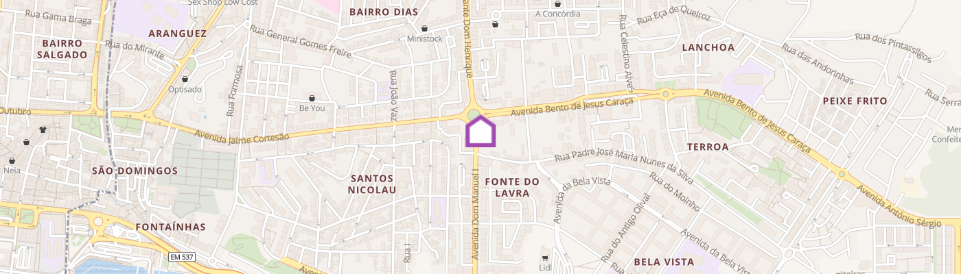 listing-map-picture