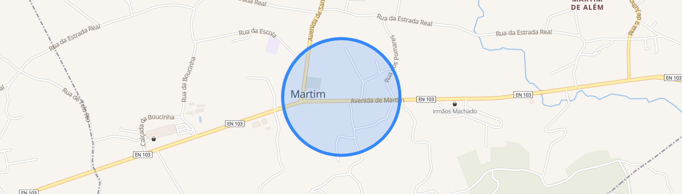 listing-map-picture