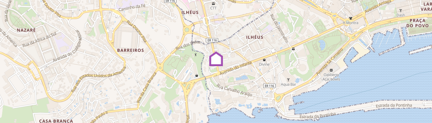listing-map-picture