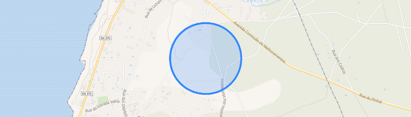 listing-map-picture