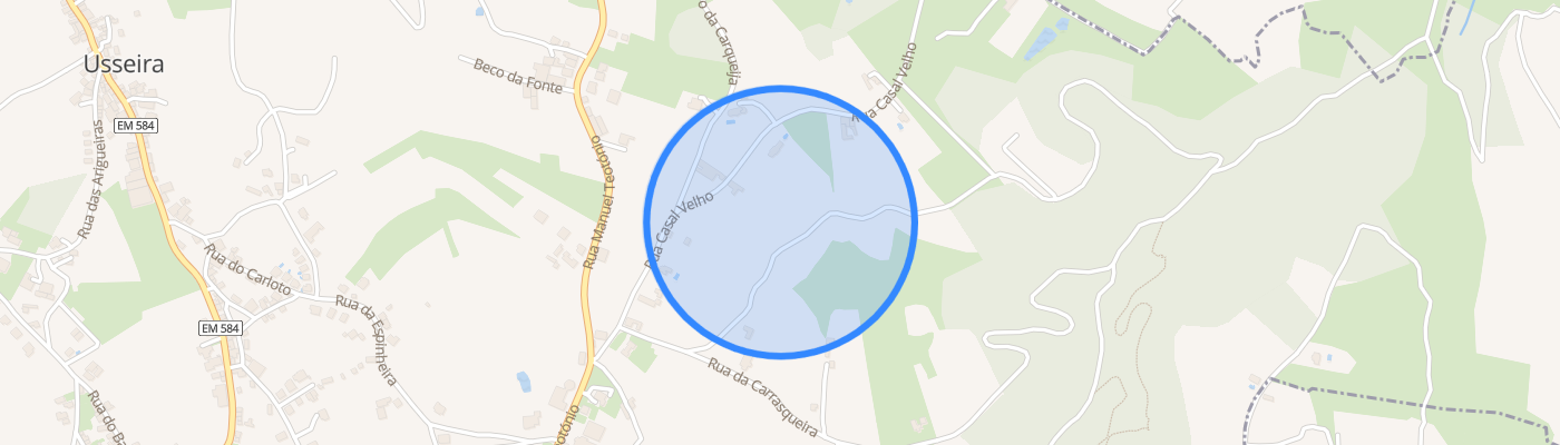 listing-map-picture