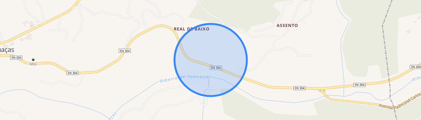 listing-map-picture