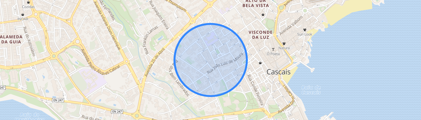 listing-map-picture