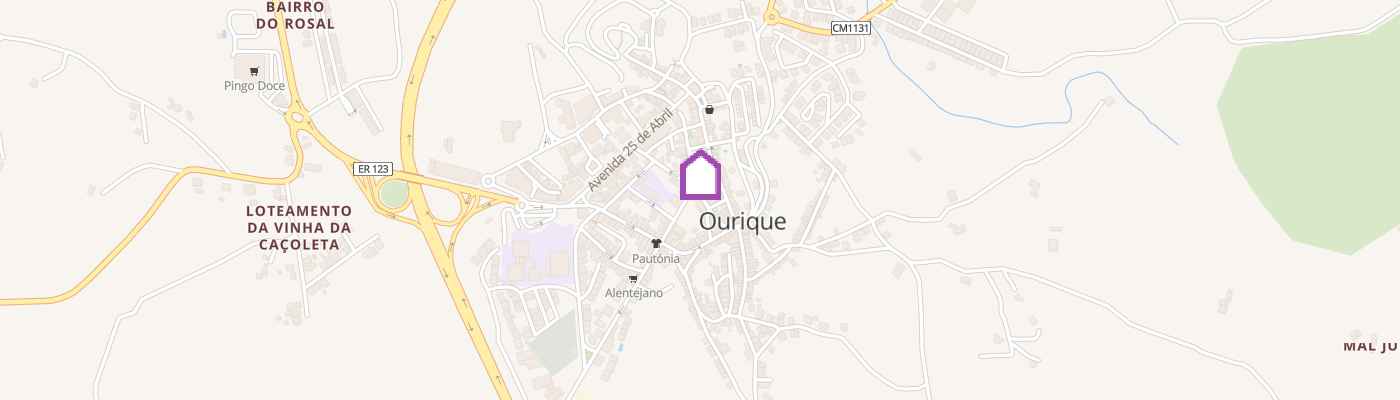 listing-map-picture