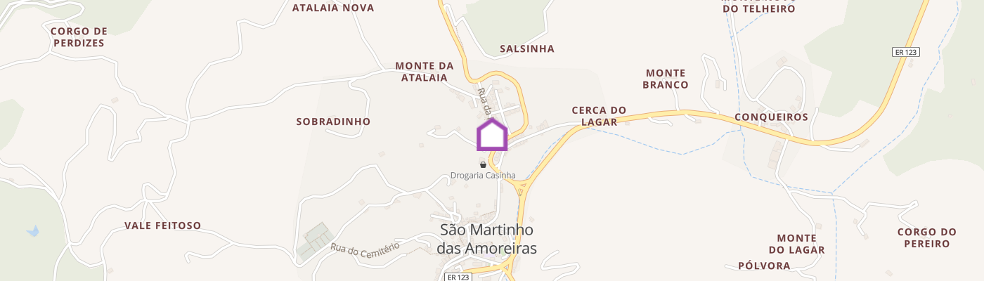 listing-map-picture