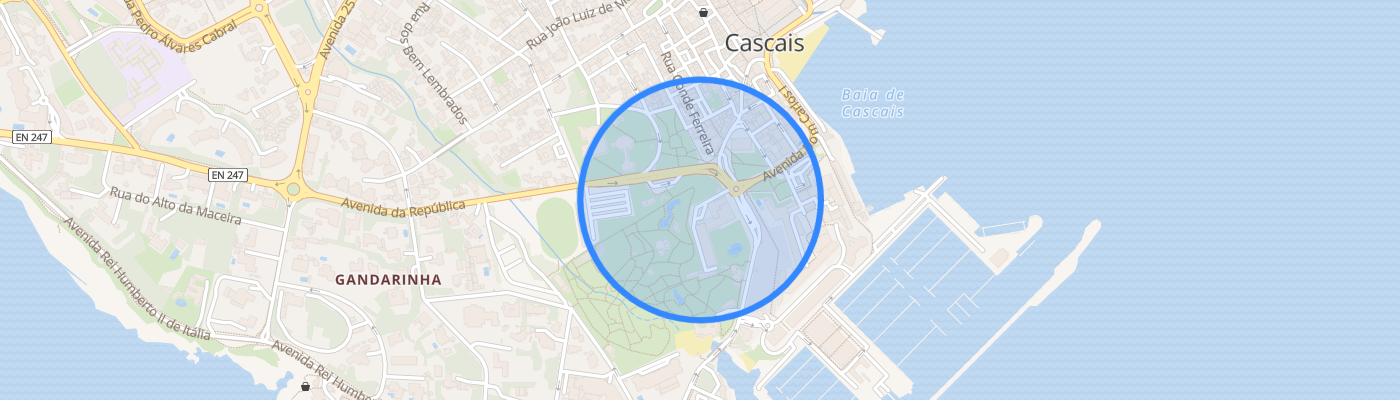 listing-map-picture