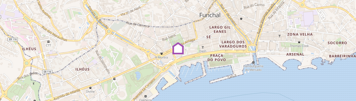 listing-map-picture
