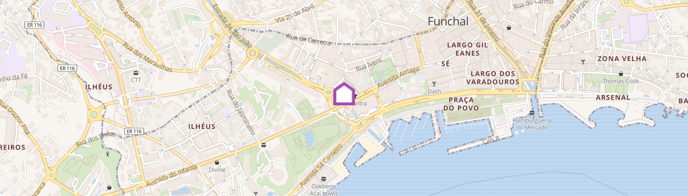 listing-map-picture