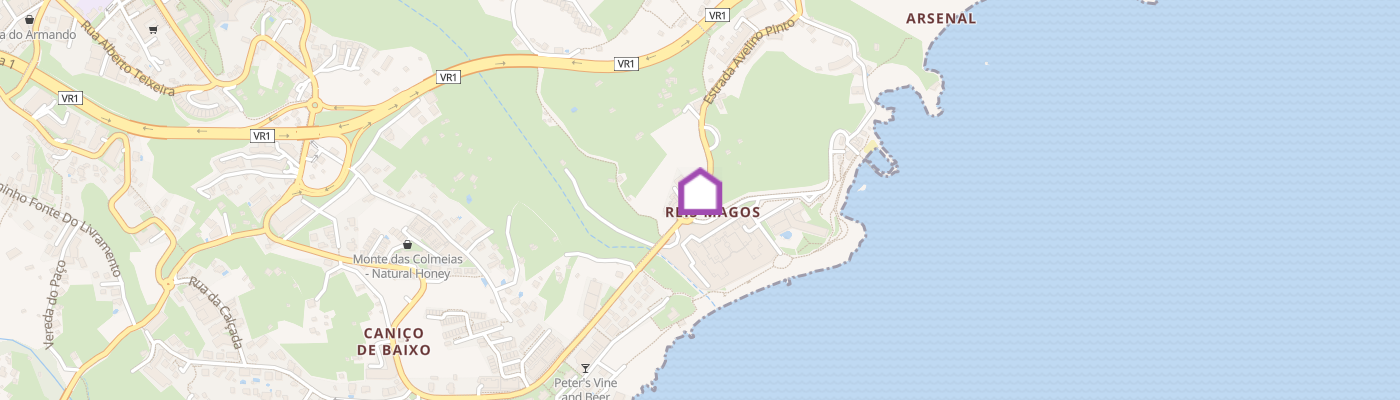 listing-map-picture