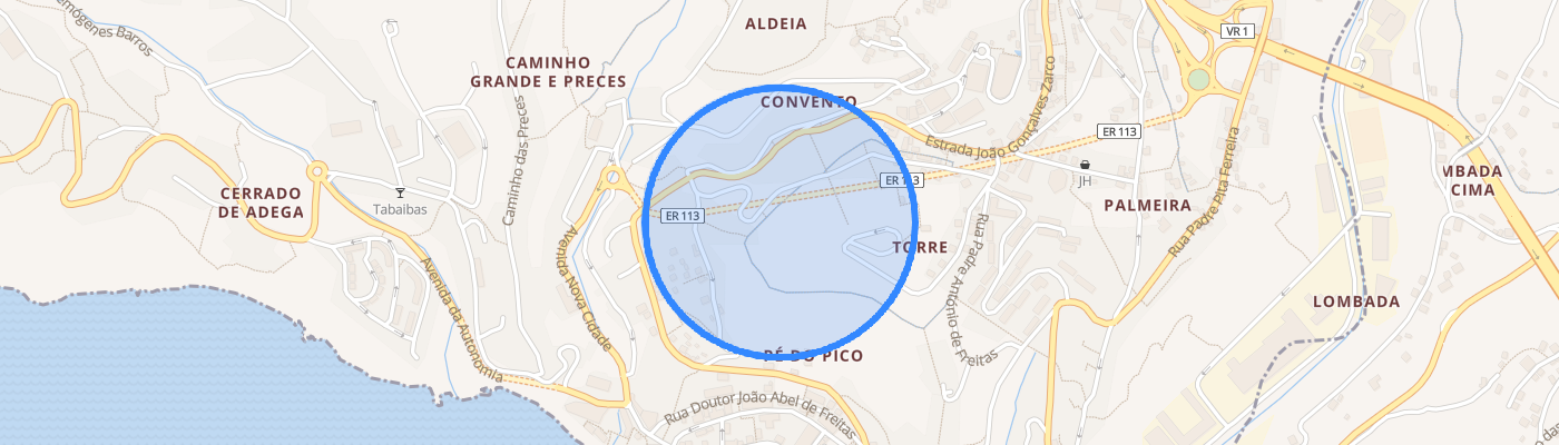 listing-map-picture
