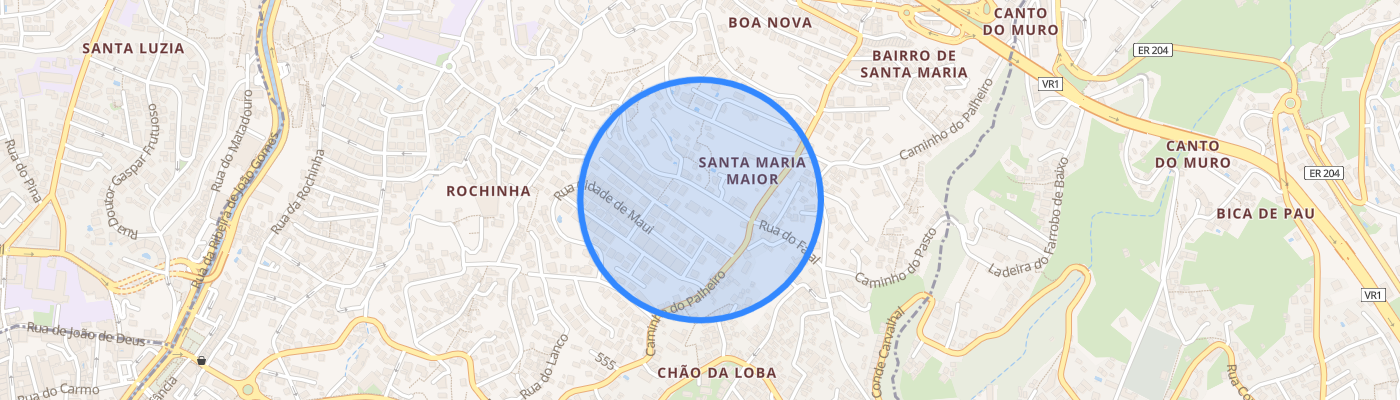 listing-map-picture