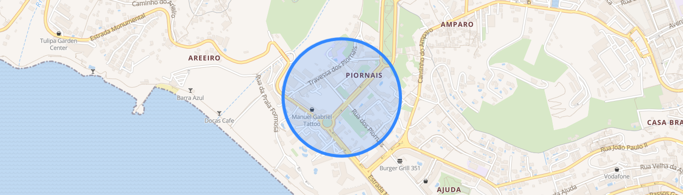 listing-map-picture