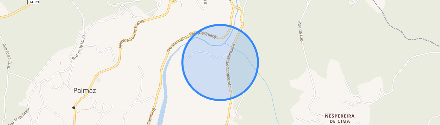 listing-map-picture