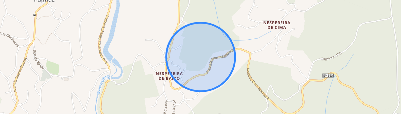 listing-map-picture